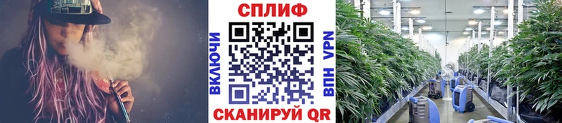 где продают наркотики Усинск mega ссылки Канабис AK-47